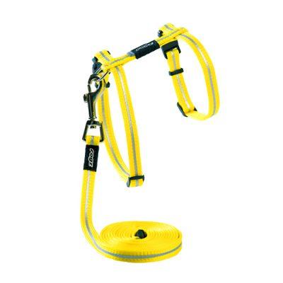 Alleycat Harness & Lead Set Dayglo 8mm