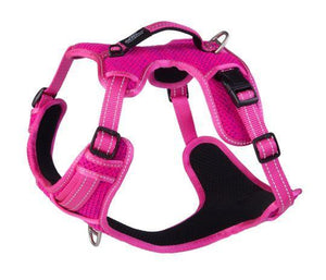 Rogz Explore Harness Pink Sml