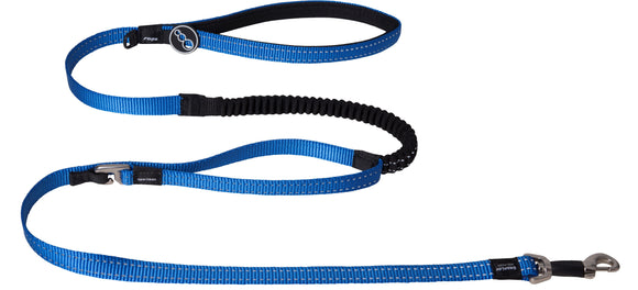 Rogz Control Lead Blue Med